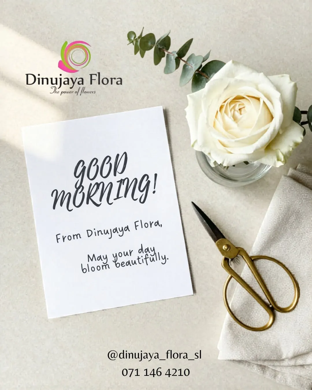 Dinujaya Flora New Design